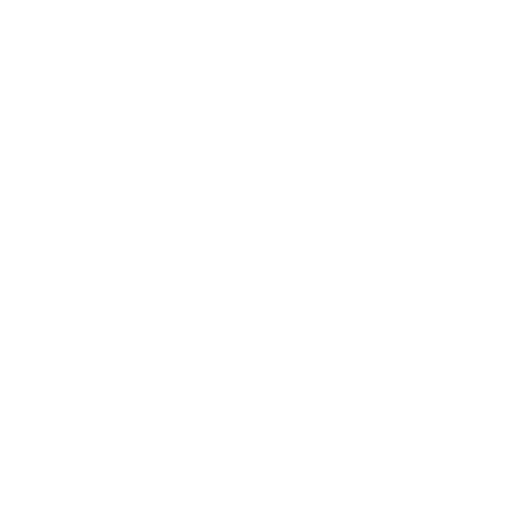 Y25 System